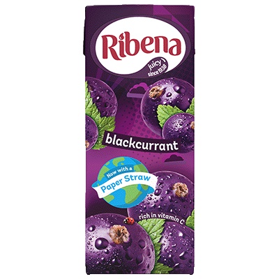 Ribena Blackcurrant 250ml